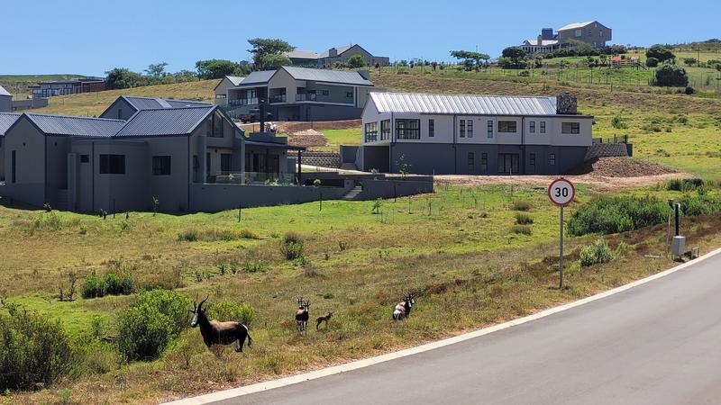 0 Bedroom Property for Sale in Outeniquasbosch Western Cape